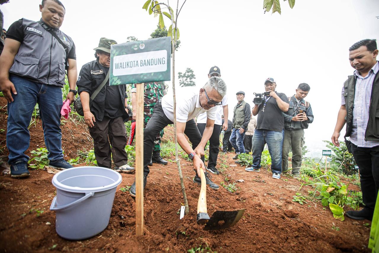 Upaya Cegah Potensi Bencana, Pemkot Bandung Dukung Penuh Penghijauan Wilayah KBU