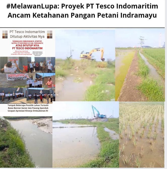 MelawanLupa: Proyek PT Tesco Indomaritim Ancam Ketahanan Pangan Petani Indramayu