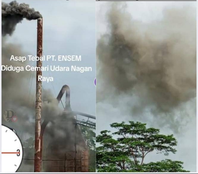 Asap Tebal PT. ENSEM Diduga Cemari Udara Nagan Raya, Warga Resah