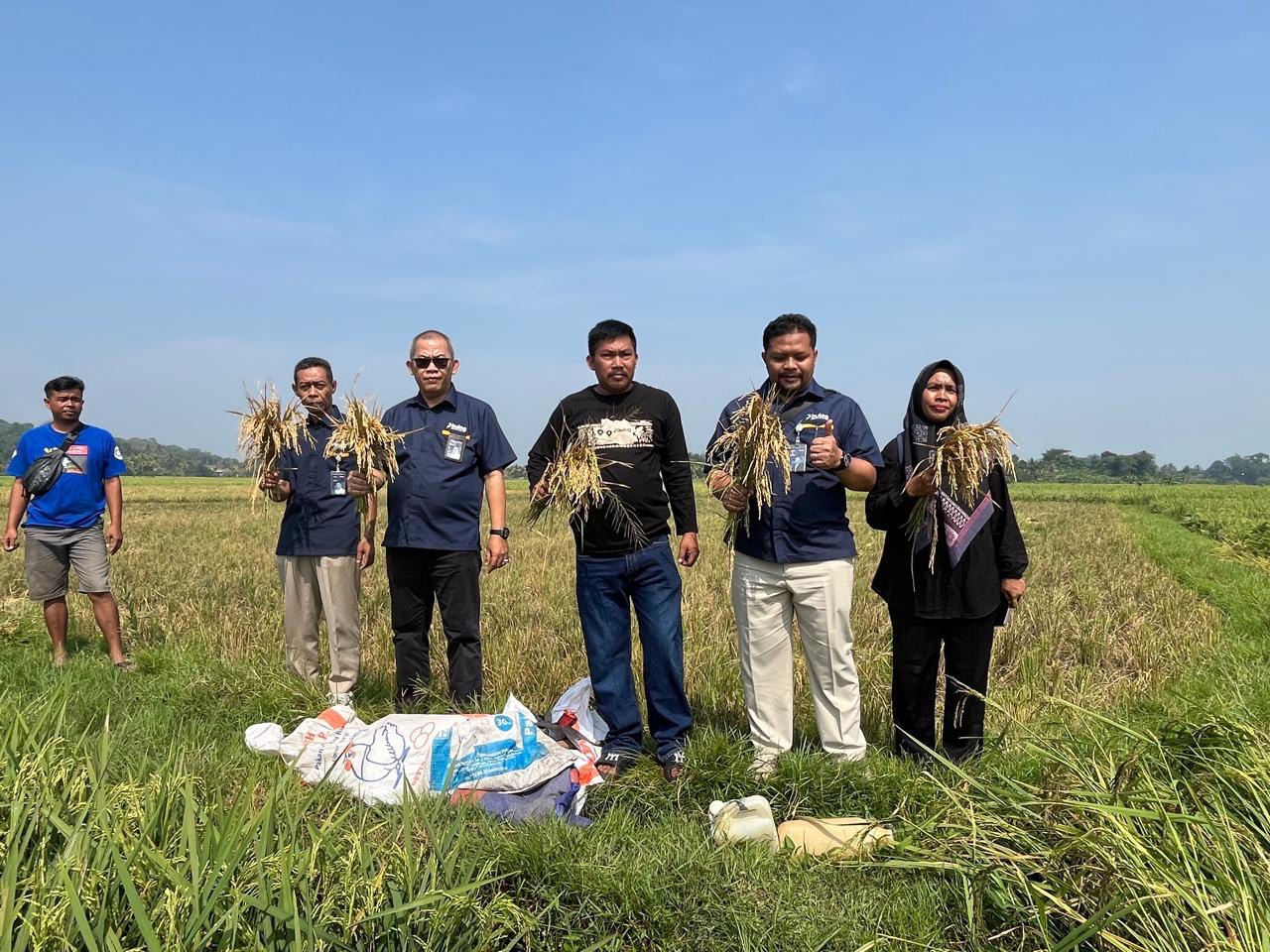BULOG pastikan serap gabah petani sesuai arahan pemerintah serta mendukung Program KDMP dan MBG. – OKTOBER 2025