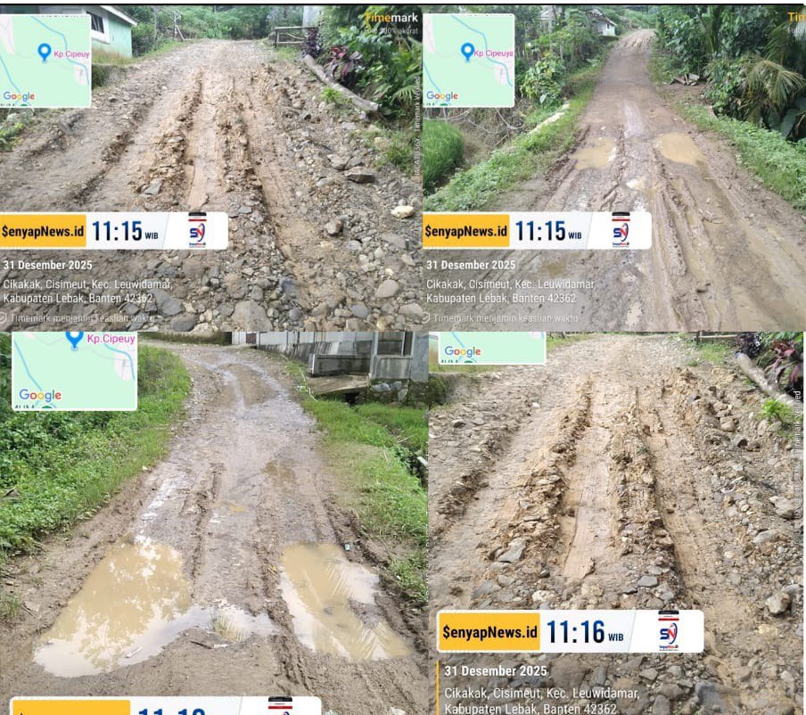 INVESTIGASI AKHIR TAHUN: Kondisi Jalan di Kampung Chipeulyah Barat Lebak Banten Semakin Parah, Bertahun-tahun Dibiarkan