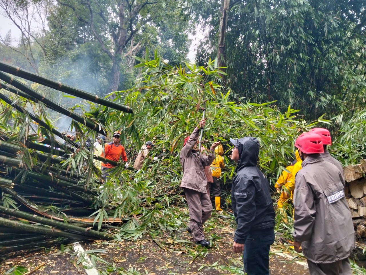 Tim SAR Batalyon B Pelopor Sat Brimob Polda Jabar Evakuasi Pohon Tumbang Akibat Cuaca Ekstrim di Lembang