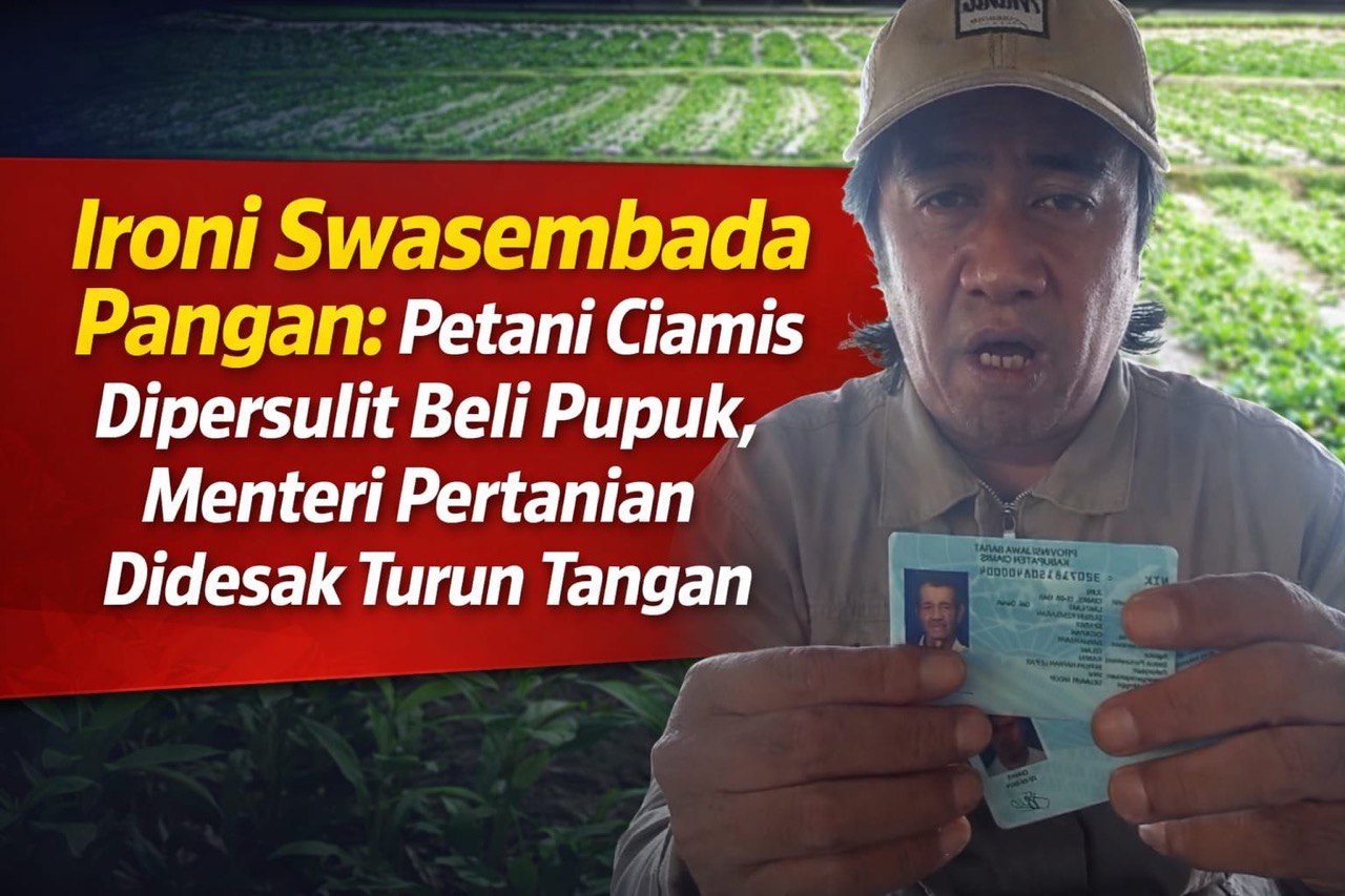 Ironi Swasembada Pangan: Petani Ciamis Dipersulit Beli Pupuk, Menteri Pertanian Didesak Turun Tangan