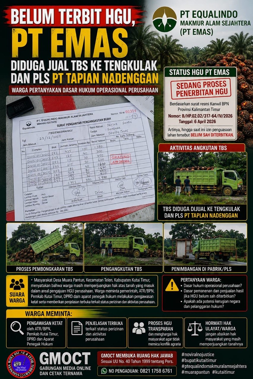 Belum Terbit HGU, PT EMAS Diduga Jual TBS ke Tengkulak dan PLS PT Tapian Nadenggan