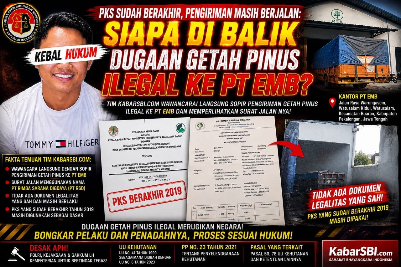 PKS Sudah Berakhir Pengiriman masih Berjalan, Siapa di Balik Dugaan Getah Pinus Ilegal PT EMB?