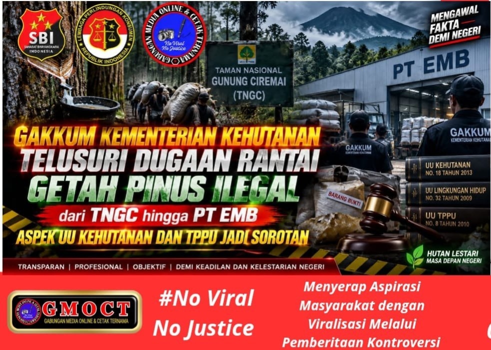 GAKKUM Kementerian Kehutanan Telusuri Rantai Getah Pinus Ilegal TNGC — Hingga PT EMB, UU Kehutanan & TPPU Jadi Sorotan Utama
