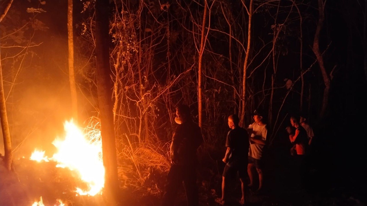 Kebakaran Lahan Perkebunan di Perbatasan Ciamis– Pangandaran, Polisi dan Warga Bahu-Membahu Padamkan Api